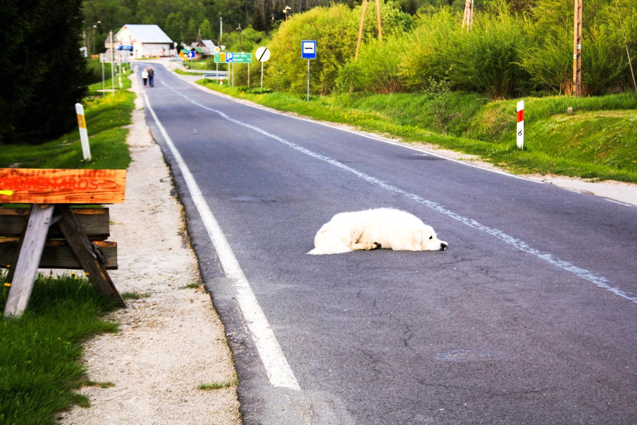 Ustrzyki Górne Kremenarosホステル エクステリア 写真